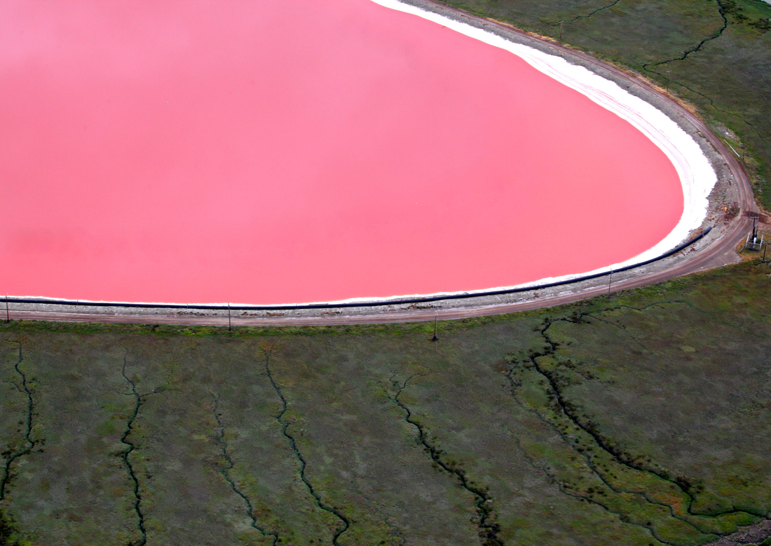 17 Awe-inspiring Pink Lakes Around the World You Need to See