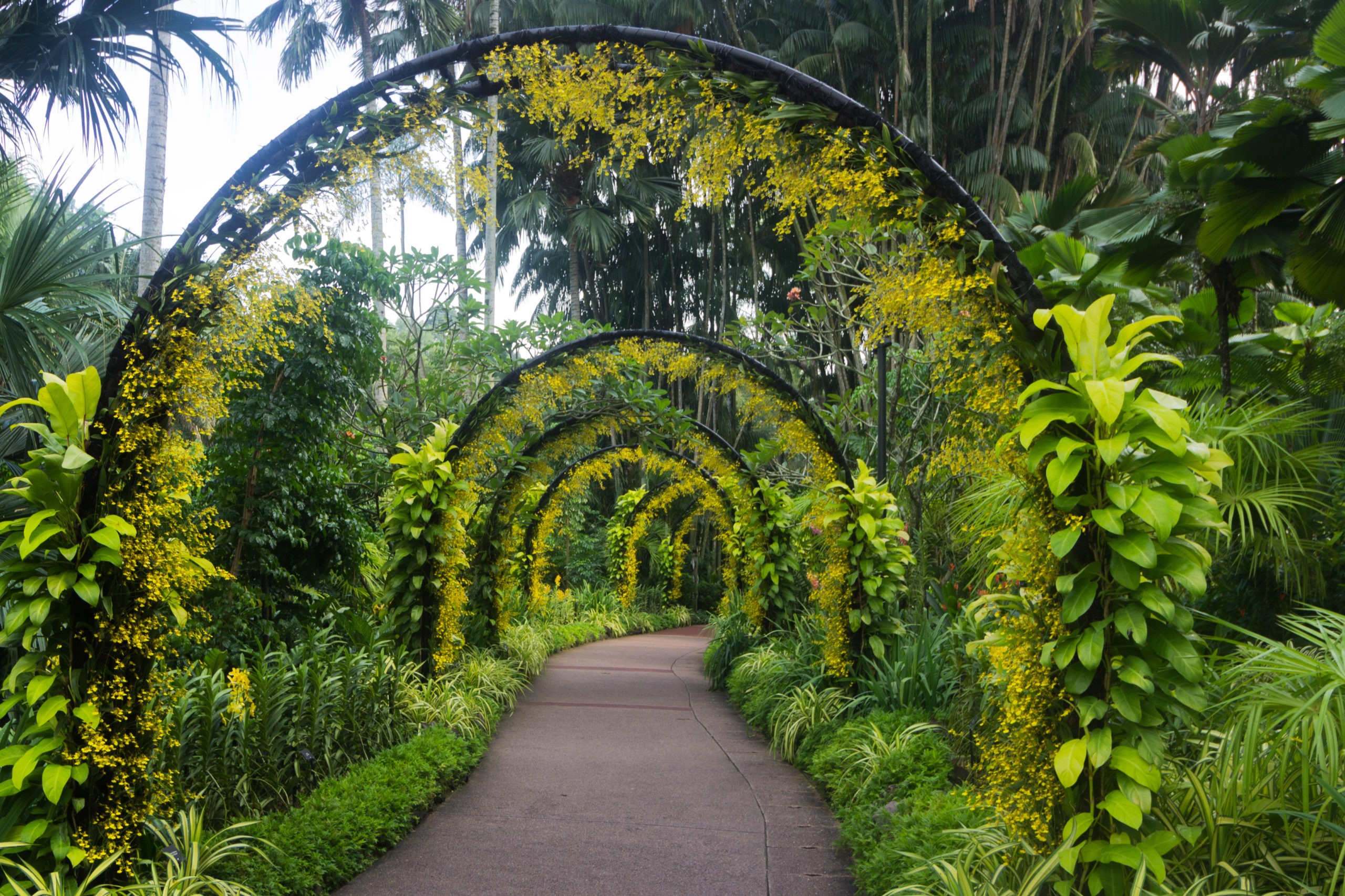 Our Favourite Green Spaces And Parks In Singapore Wanderluxe