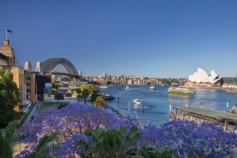 Best places to see Jacaranda trees in New South Wales | WanderLuxe